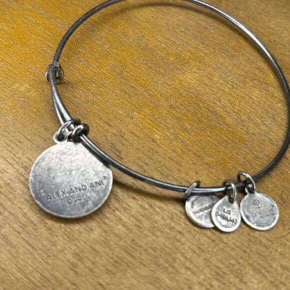 ALEX AND ANI Alpha Delta Pi Charm Bangle Silver Tone Bracelet - Picture 5 of 5